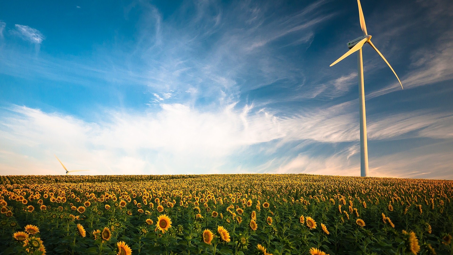 Windkraftanlage auf Sonnenblumenfeld