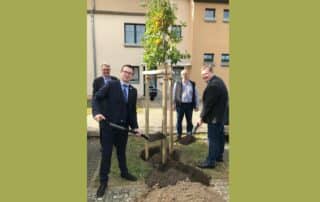 Bürgermeister pflanzen Patenbaum in Rheinsberg