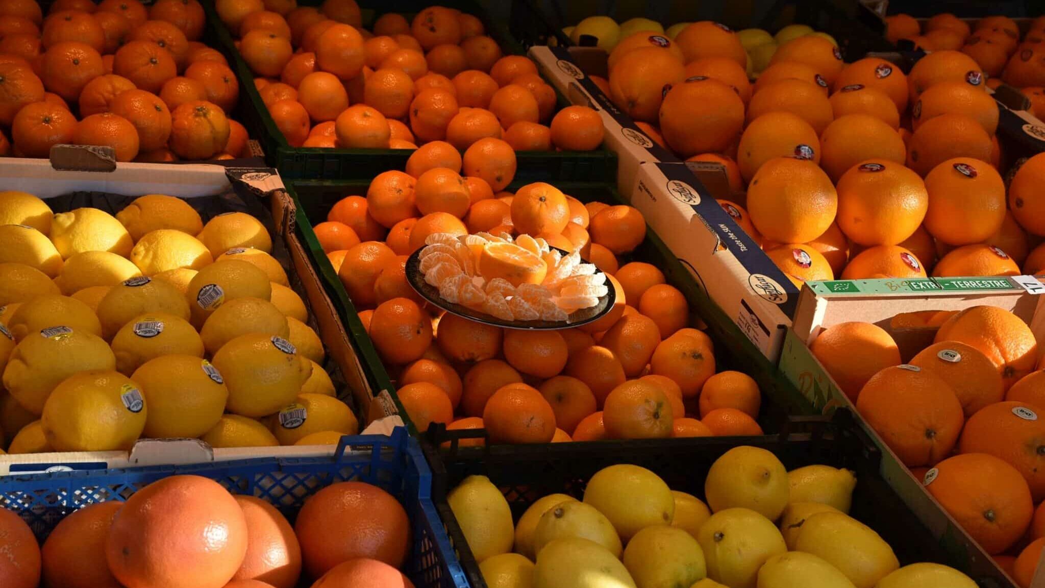 Markt Obst Zitrus Zitrone Orange