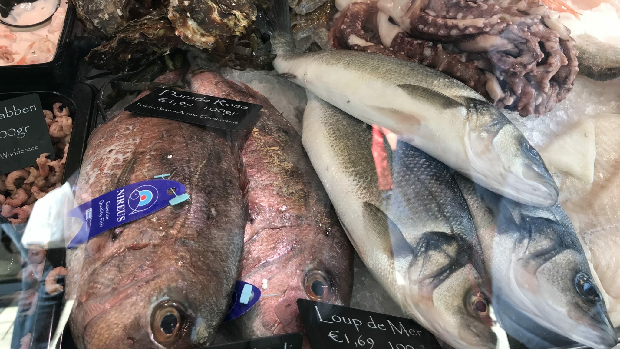 Markt Fisch